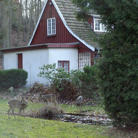 Skovvej Holiday House 1 Villa Ранерс Екстериор снимка