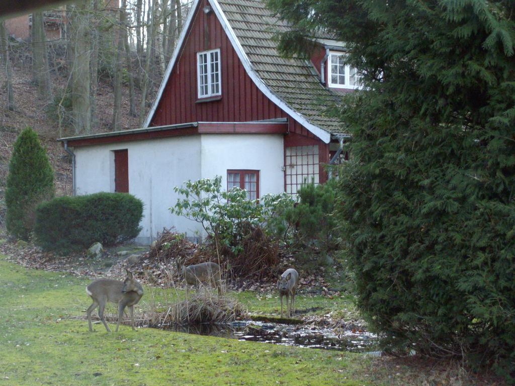 Skovvej Holiday House 1 Villa Ранерс Екстериор снимка